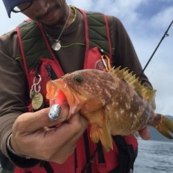 「LaGooN」蒼陽丸 日和号　 釣果