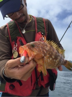 「LaGooN」蒼陽丸 日和号　 釣果