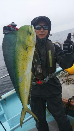 みやけ丸 釣果 投稿