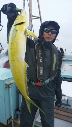 みやけ丸 釣果 投稿