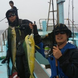 みやけ丸 釣果 投稿