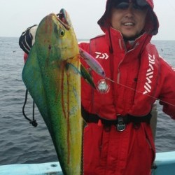 みやけ丸 釣果 投稿