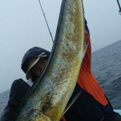 みやけ丸 釣果 投稿