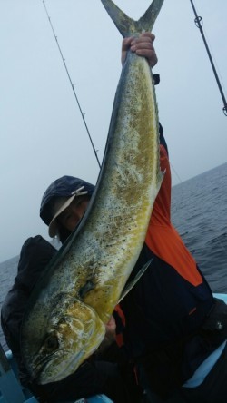 みやけ丸 釣果 投稿