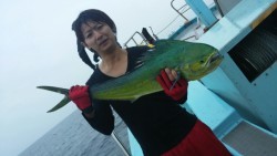 みやけ丸 釣果 投稿