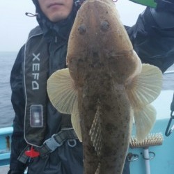 みやけ丸 釣果 投稿