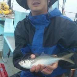 みやけ丸 釣果 投稿