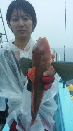 みやけ丸 釣果 投稿