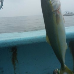 みやけ丸 釣果 投稿