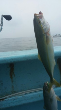 みやけ丸 釣果 投稿