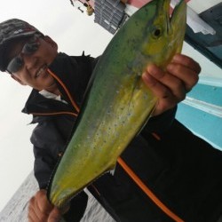 みやけ丸 釣果 投稿