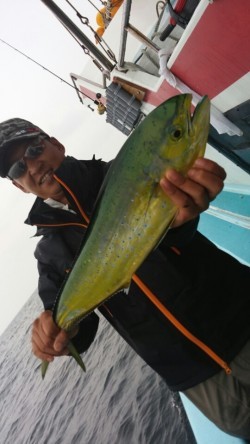 みやけ丸 釣果 投稿