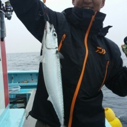 みやけ丸 釣果 投稿