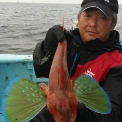 みやけ丸 釣果 投稿