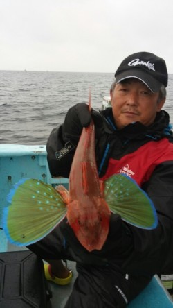 みやけ丸 釣果 投稿