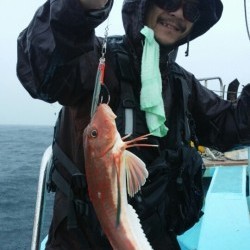 みやけ丸 釣果 投稿
