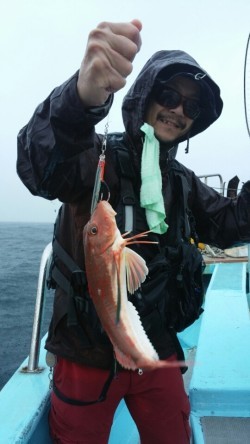 みやけ丸 釣果 投稿