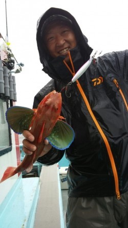 みやけ丸 釣果 投稿