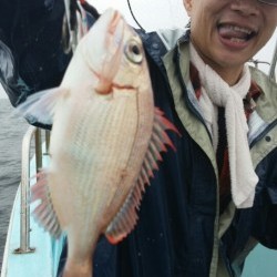 みやけ丸 釣果 投稿