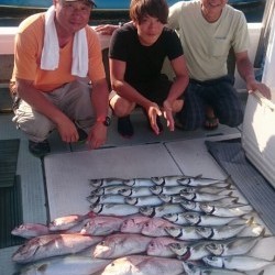 エムズジャーク（M’s JERK） 釣果