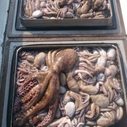 エムズジャーク（M’s JERK） 釣果