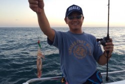 South Current 釣果