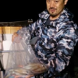 海龍丸 釣果 投稿