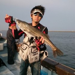 海龍丸 釣果 投稿