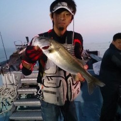 海龍丸 釣果 投稿