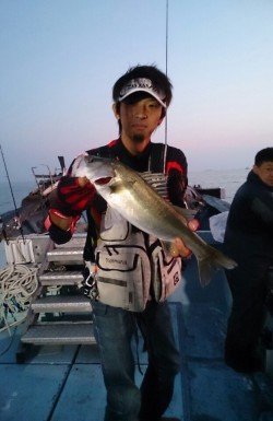 海龍丸 釣果 投稿