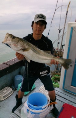 海龍丸 釣果