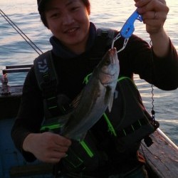 海龍丸 釣果