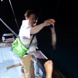 海龍丸 釣果