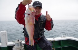 Big One ビッグワン 釣果 投稿