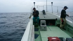 NEW KUROIWA 釣果 投稿