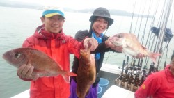 エムズジャーク（M's JERK…