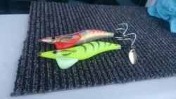 エムズジャーク（M’s JERK） 釣果