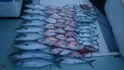 エムズジャーク（M's JERK…