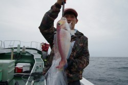 Big One　ビッグワン 釣果 投稿