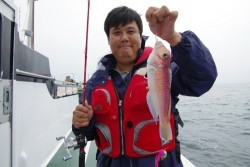 Big One　ビッグワン 釣果 投稿