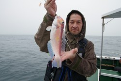 Big One　ビッグワン 釣果 投稿