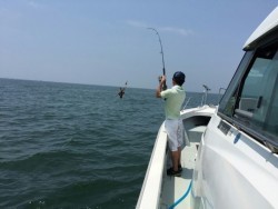 エムズジャーク（M’s JERK） 釣果