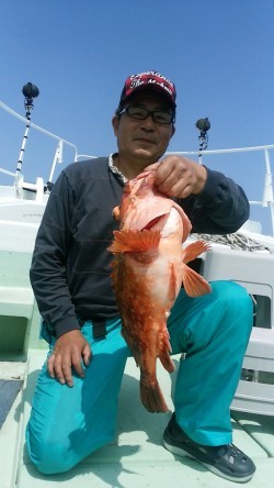 NEW KUROIWA 釣果 投稿