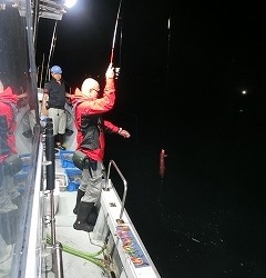 第二清洋丸 釣果 投稿