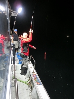 第二清洋丸 釣果 投稿