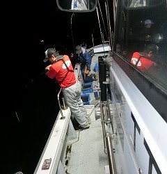 第二清洋丸 釣果 投稿