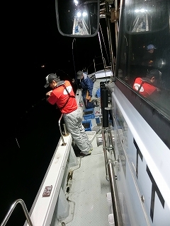 第二清洋丸 釣果 投稿