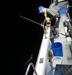 第二清洋丸 釣果