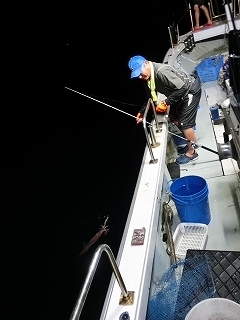 第二清洋丸 釣果