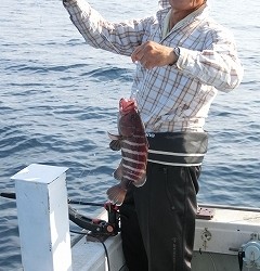 第二清洋丸 釣果